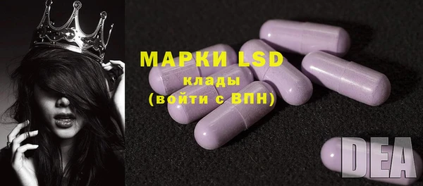 ГАЛЛЮЦИНОГЕННЫЕ ГРИБЫ Верея