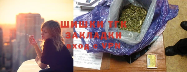 тгк Бородино