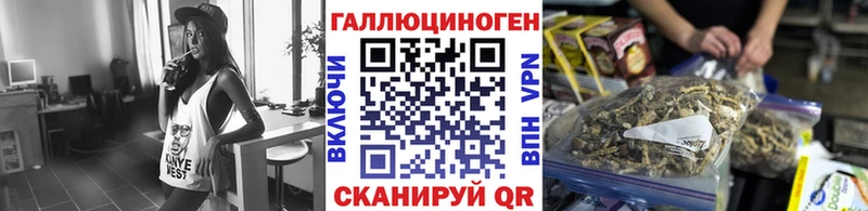 Псилоцибиновые грибы Psilocybe  Купить закладки  Красноперекопск 